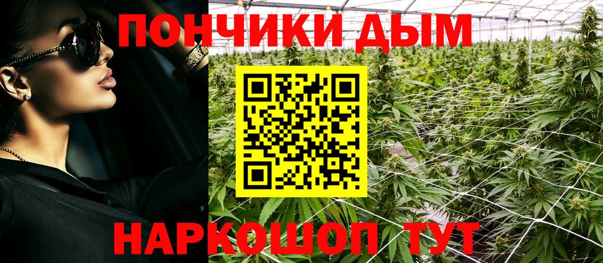 Марихуана Bruce Banner Анапа